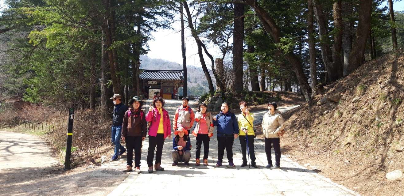 h_5dbUd018svc4cre5124latt_g3but9.jpg