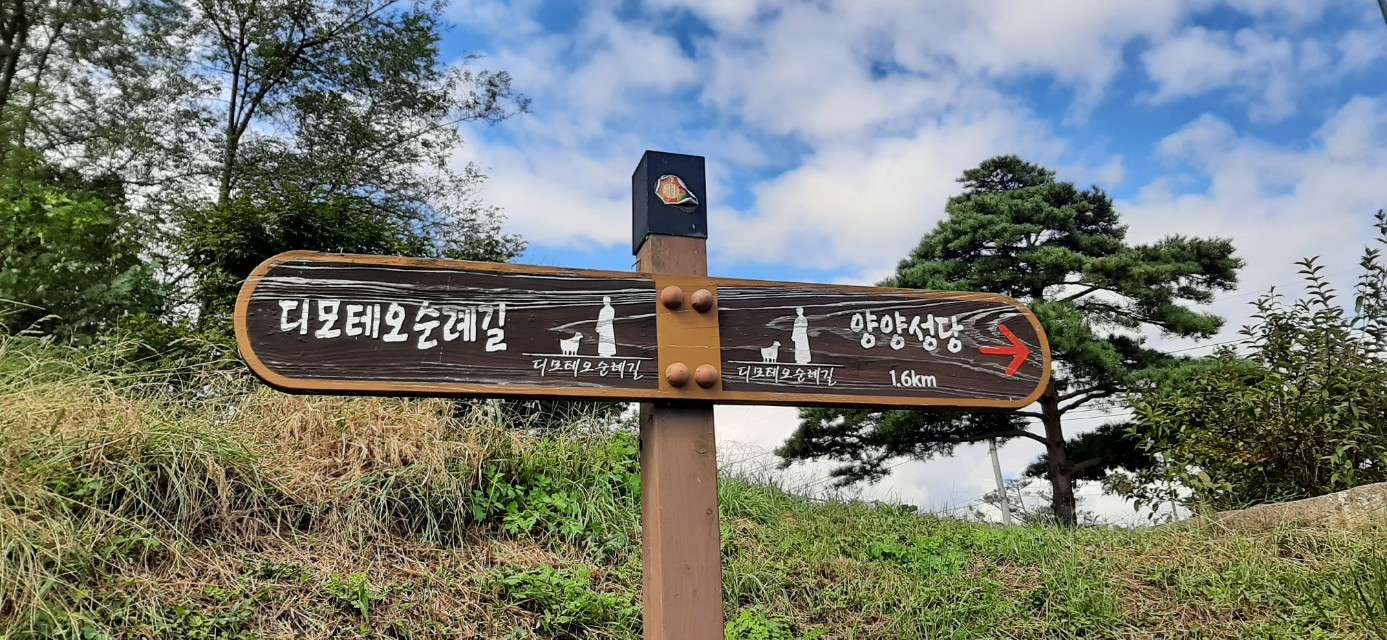 사본 -e_h34Ud018svc17fnquwngn360_vd3dgs.jpg