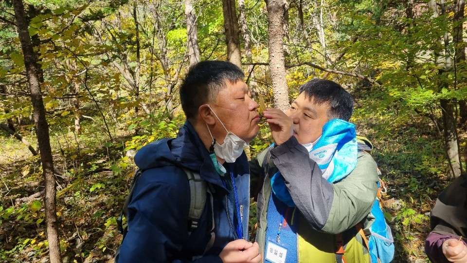사본 -0_ea2Ud018svc1potgg4hf31aa_vthx0o.jpg