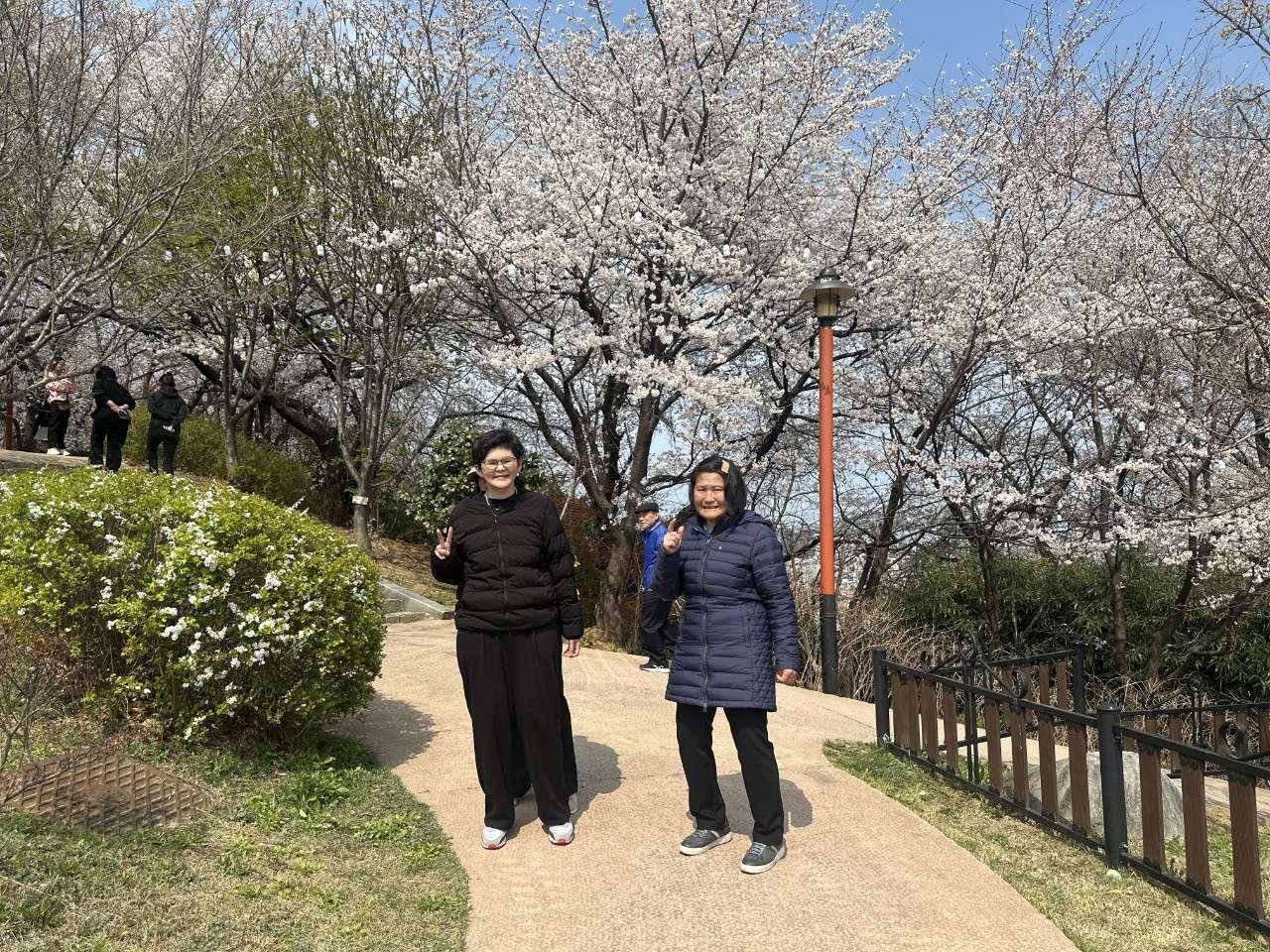 사본 -h_g20Ud018svcpfmdax2xfm24_y2w8y (1).jpg