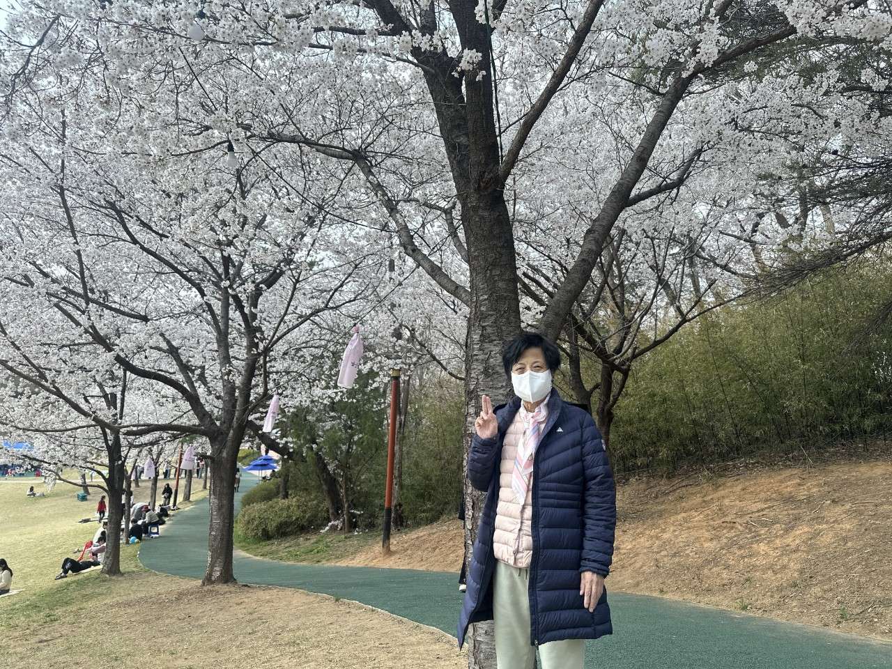 사본 -h_a20Ud018svc1580brzpwh5k2_y2w8y.jpg