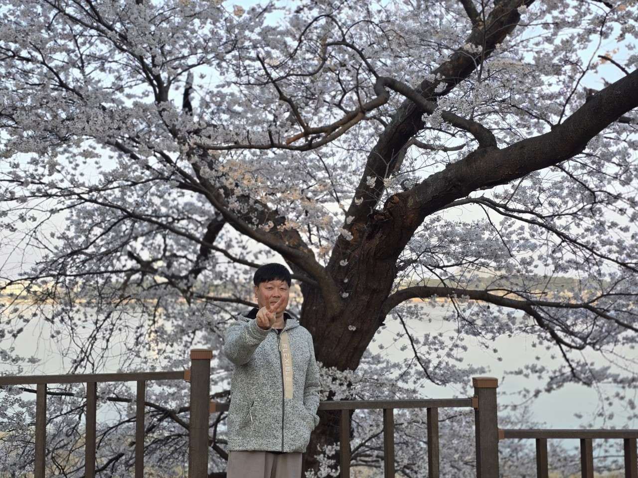 사본 -7_436Ud018svcp4nyjiaplho1_rzo5c0.jpg