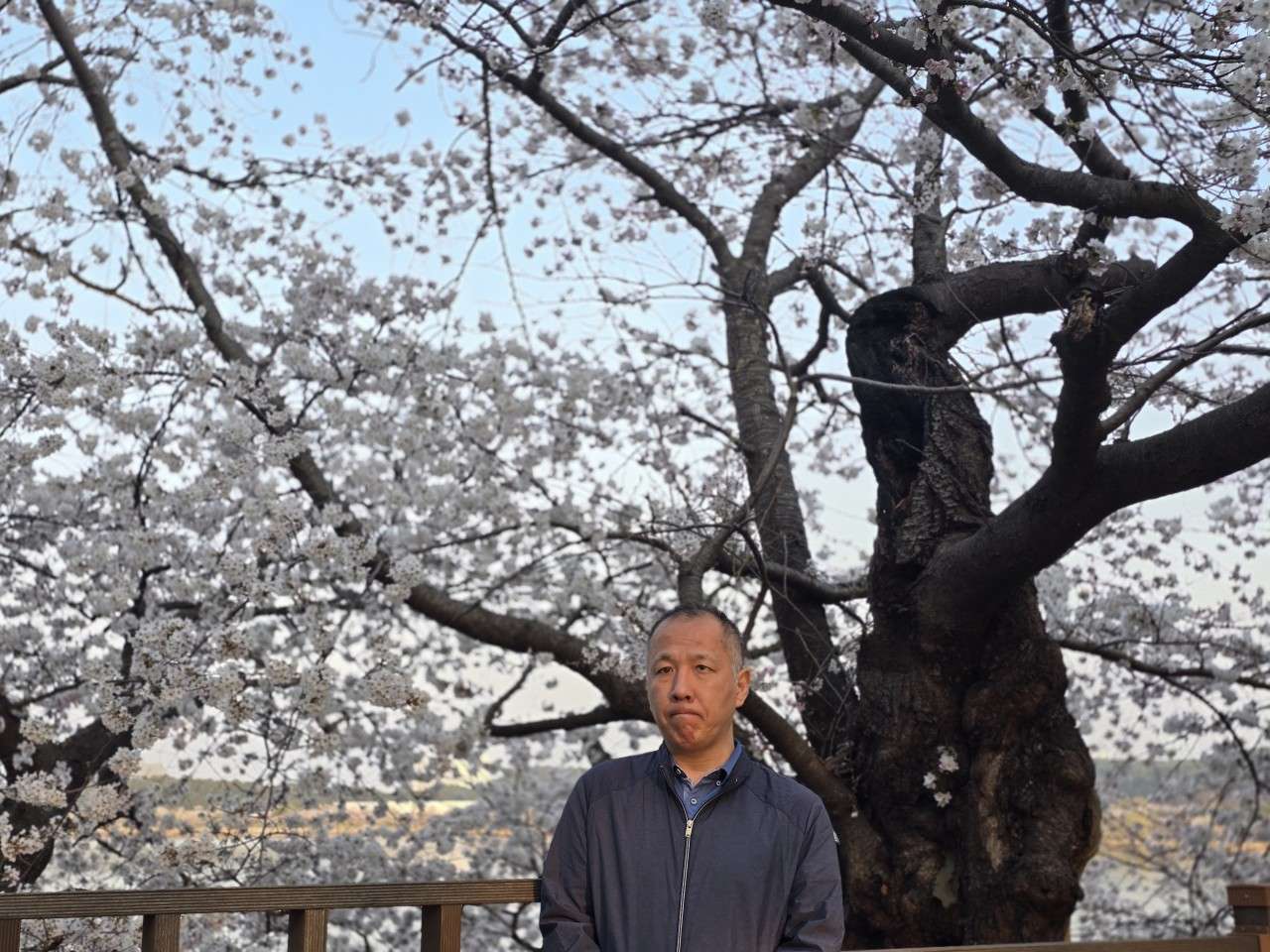 사본 -9_537Ud018svc13vqtzyao7imu_rzo5c0.jpg
