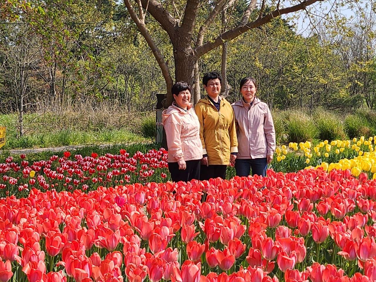 사본 -5_8ejUd018svc3htj9lubkihi_vthx0o.jpg