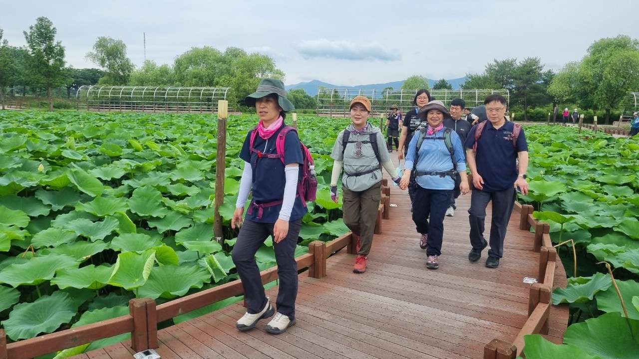 사본 -6_c81Ud018svc1h2fgghu9njsz_veaao1.jpg