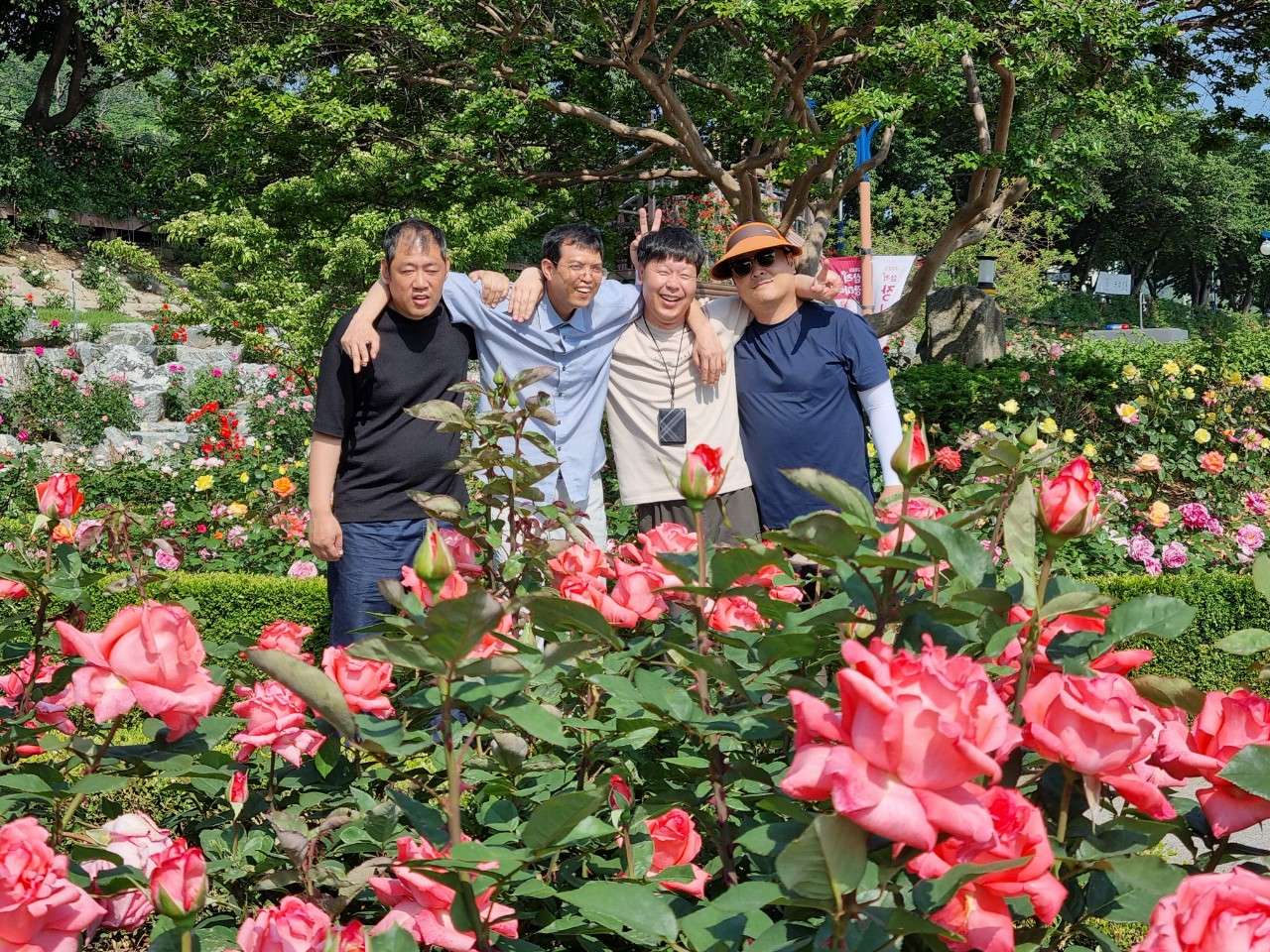 사본 -h_98hUd018svc72k10odnnu51_wr1c4b.jpg