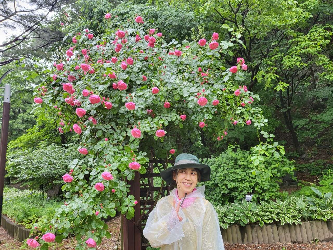 사본 -7_bf2Ud018svc11a6j70xj0muh_tiah4y.jpg