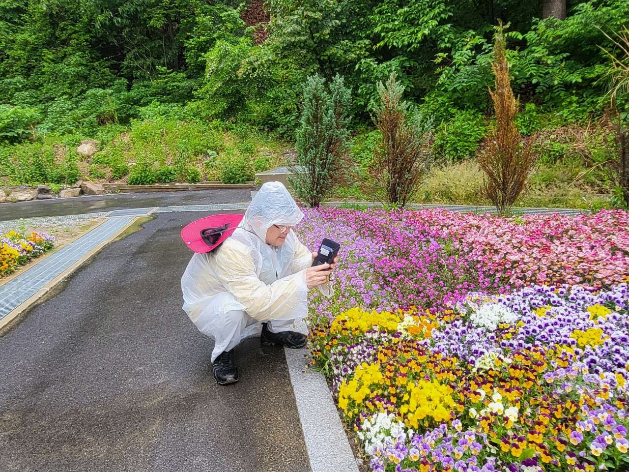 사본 -7_df2Ud018svc1b8b2e3cy447s_tiah4y.jpg