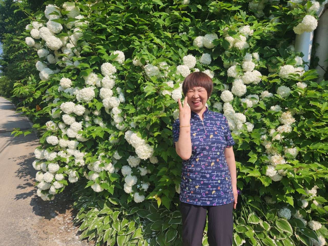 사본 -h_h6hUd018svcypm8ca831i5r_g4zpwy.jpg
