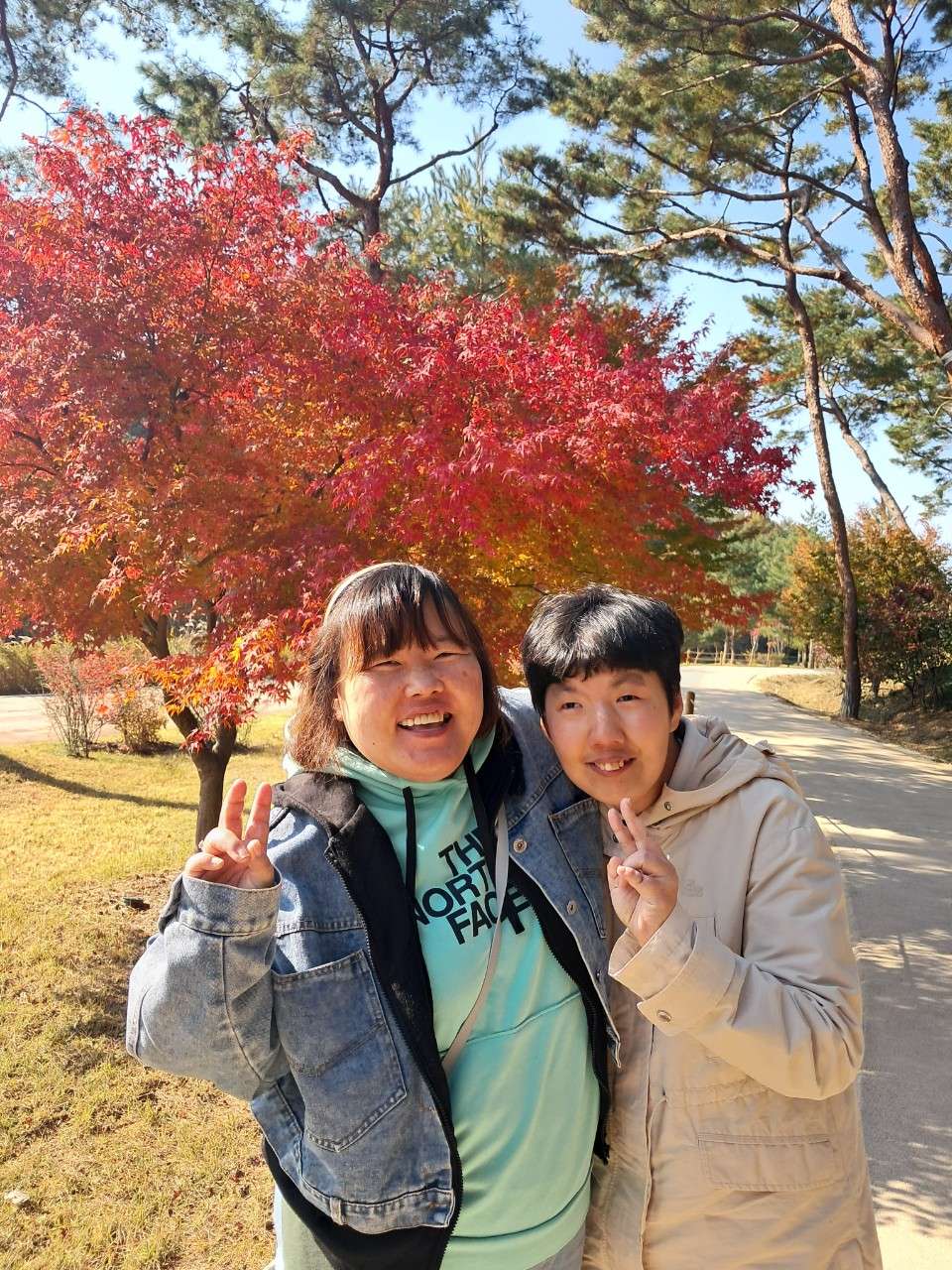 사본 -h_96fUd018svc1aktdyvphoonr_uh9kw5.jpg