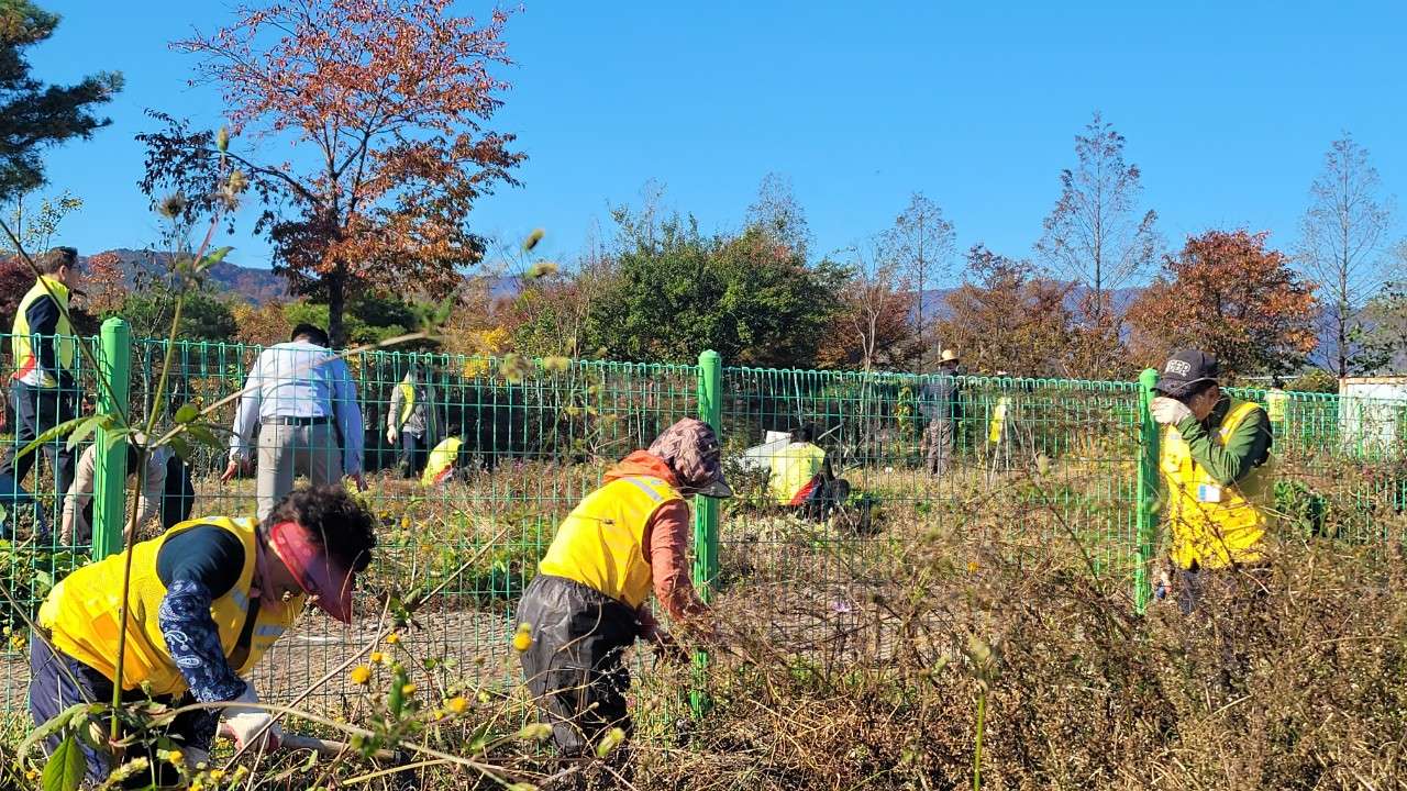 사본 -0_fe2Ud018svc1bssphk0sbpy_vd3dgs.jpg