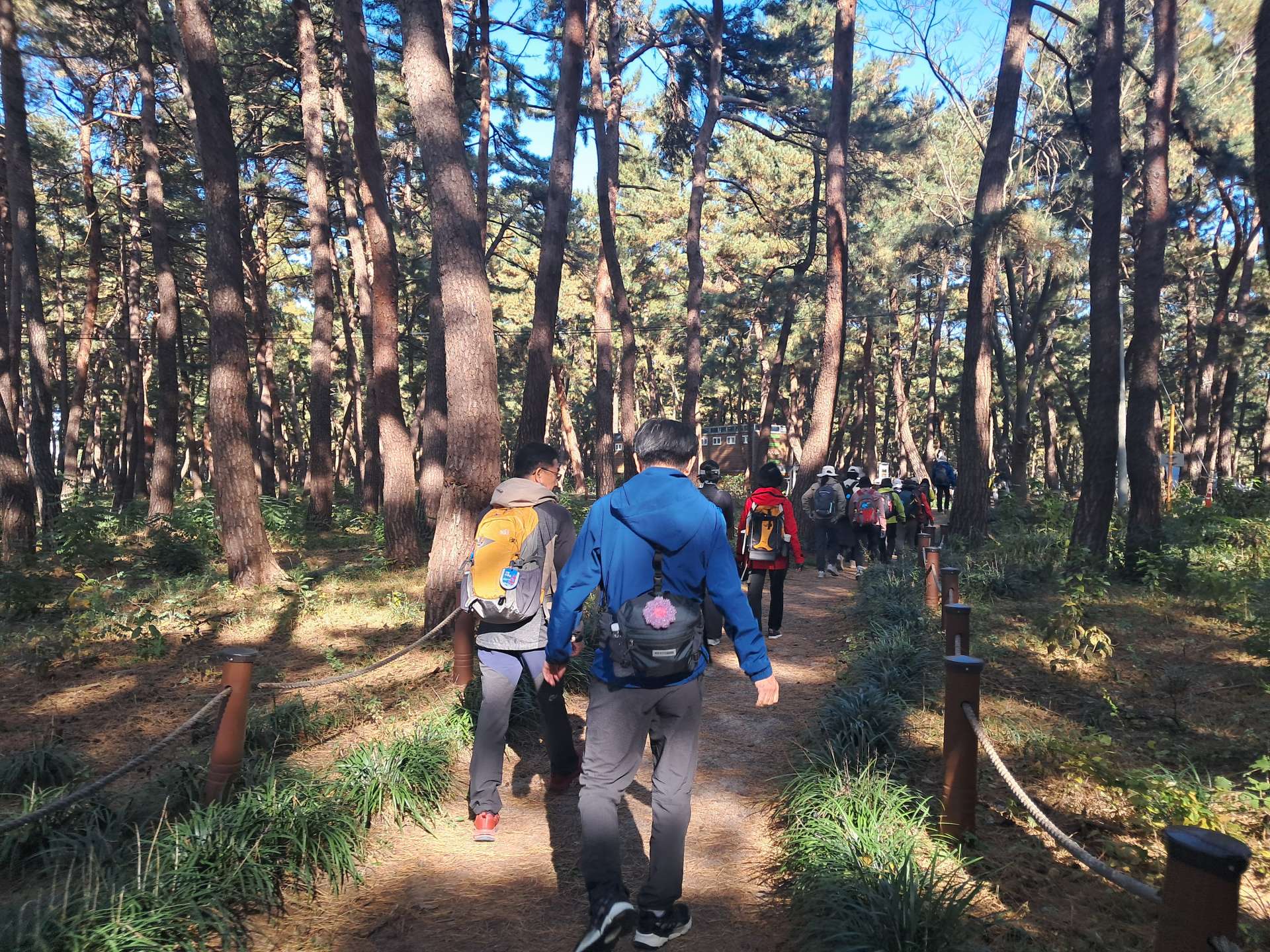 사본 -g_7i9Ud018svcm0e5g5cr8v1g_uh9kw5.jpg