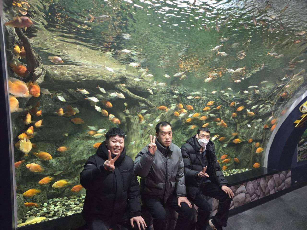 사본 -0_8ccUd018svc14ensdor37j22_dpc6gl.jpg