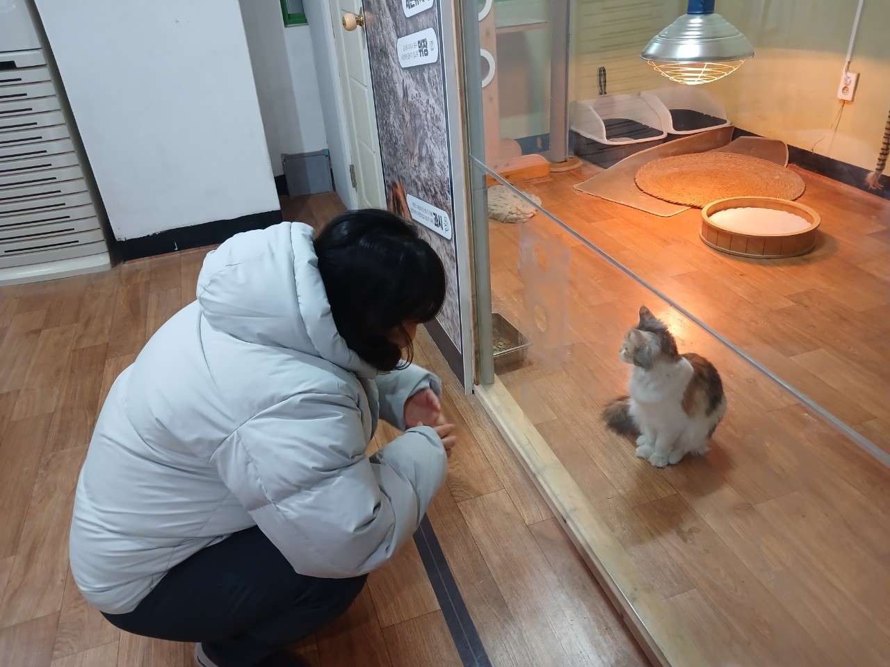 사본 -g_bhaUd018svc1is7usckdg6e5_cwk4u7.jpg