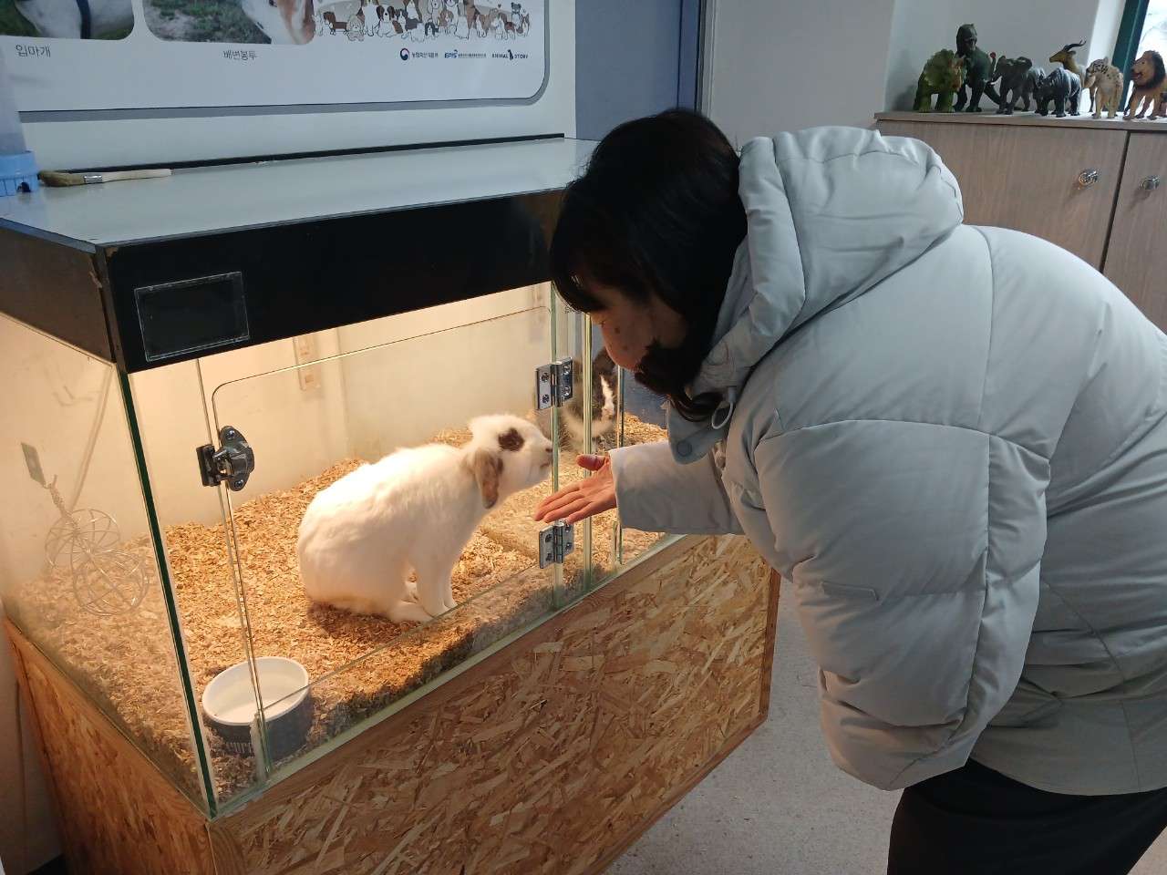 사본 -g_ihaUd018svcaj3ikevsu0kc_cwk4u7.jpg