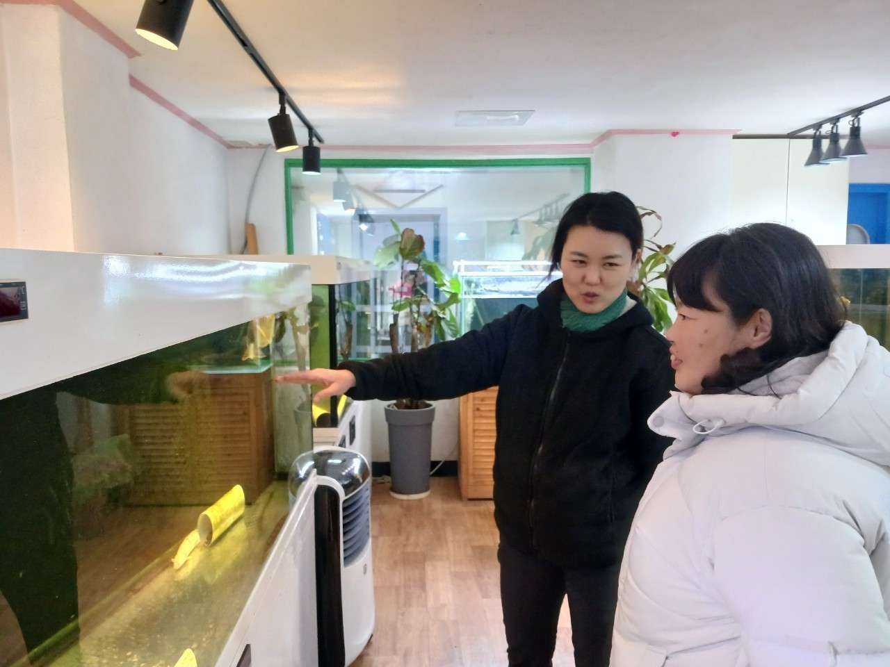 사본 -i_bhaUd018svc1abqmoj1dzjfw_cwk4u7.jpg